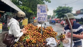 Đỉnh cao marketing 'vải thiều bao ngọt 10.000 đồng/kg'