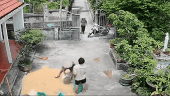 Ấm áp tình làng xóm, giúp đỡ nhau chạy thóc trời mưa