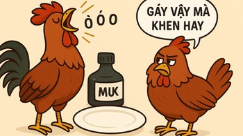Câu thành ngữ quen thuộc này là gì? (P36)