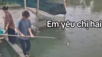 Đắng lòng em ngã chị đứng cười nắc nẻ như được mùa