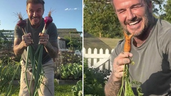 Khoe vườn rau tự trồng, Beckham được fan gọi 'nông dân hot nhất nước Anh'