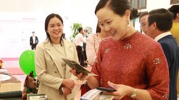 Doanh nghiệp Mỹ tìm cơ hội đầu tư mới tại miền Trung