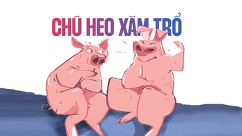 Chú heo xăm trổ gì khiến bạn cùng chuồng ngưỡng mộ?