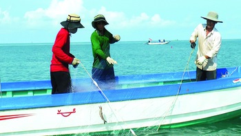Bắt cá khoai ở biển Cà Mau