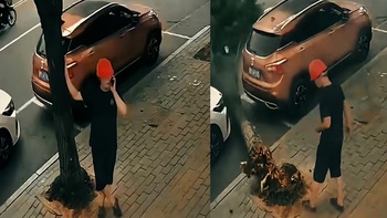 Chàng trai đứng hình vì bị cây xanh bật gốc 'ăn vạ'