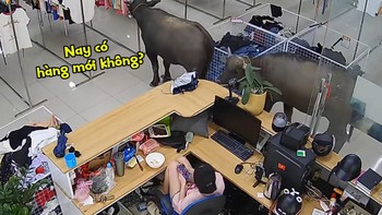 Nóng: Chủ shop thời trang đuổi hai 'khách hàng VIP' ra khỏi cửa hàng