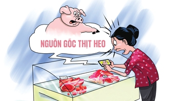 Truy xuất nguồn gốc thịt heo chưa làm người dân thật sự yên tâm