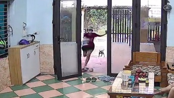 Cô gái chạy mất dép khi bị chó rượt