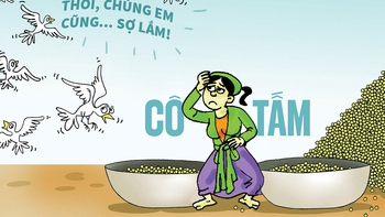 Cô Tấm ra ngoài đời thực