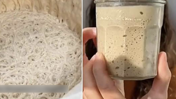Nuôi men nở làm 'thú cưng' đang nở rộ: Cũng lạ lắm à nghen!