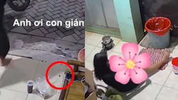 Cô gái ngã đau vì sợ gián