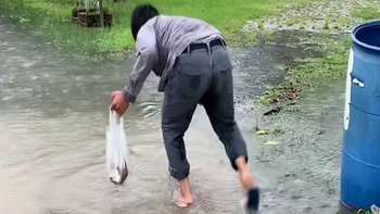 Chàng trai bắt cá vượt cạn mỏi tay sau cơn mưa lớn