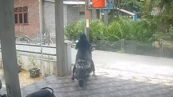 Cô gái lao vào bụi cây vì không biết chạy xe tay ga