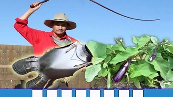 Thử tài nhanh trí với đuổi hình bắt chữ (P232)