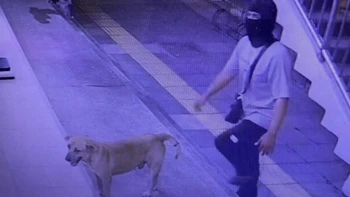 Mang chó cưng cùng đi cướp, thanh niên Thái 'vui được đúng 2 ngày'