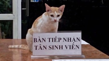 Ảnh vui 13-7: Tiếp nhận sinh viên mà mặt này hơi quạu nha!