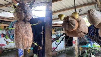 Độc lạ đồ decor 'made in miền Tây'