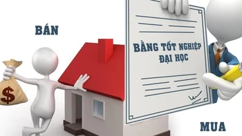 Thành ngữ mỉa mai những người háo danh này là gì?