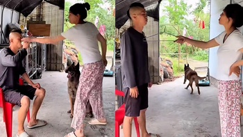 Chú chó đáo để khi thấy ông chủ bị 'nóc nhà' nạt nộ