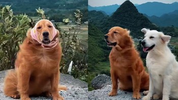 Tiết kiệm cả năm để đi du lịch và cái kết