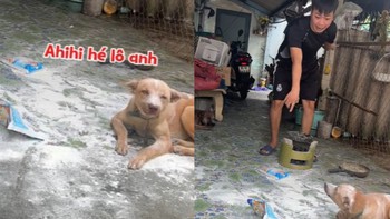 Cậu chủ đòi bỏ nhà đi vì chú chó nghịch ngợm