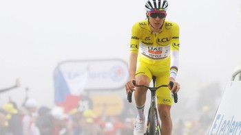 Tour de France rút ngắn chặng 19 vì... dịch bệnh trên bò