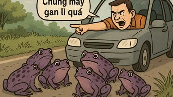 Thành ngữ ám chỉ người không sợ nguy hiểm này là gì?