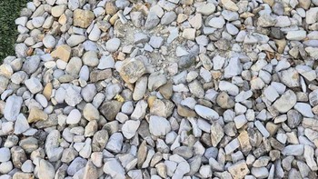 Thử tài tinh mắt: Tìm thấy quả bóng golf trong 5 giây
