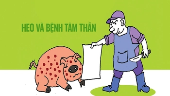 Chú heo và bệnh tâm thần