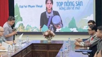 Phạm Thoại làm gì sau lùm xùm đại sứ nông sản?
