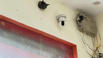 Ảnh vui 31-7: Chiếc camera chạy bằng pate, không tua lại được nhưng 'đắt giá'