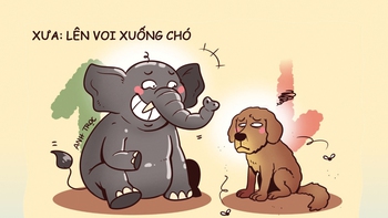 Xưa lên voi xuống chó, nay lên live xuống bãi