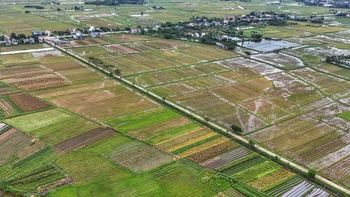 Hàng ngàn tỉ đồng thuế đất mỗi năm tiếp tục được miễn, bà con nông dân yên tâm sản xuất