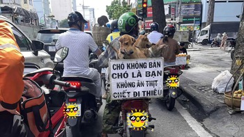 Ảnh vui 7-7: Lời tuyên ngôn của một thành viên 'hội yêu động vật'