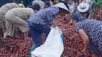 Những vụ 'hôi của' gây chấn động cõi mạng