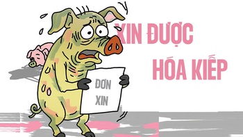 Chú heo bệnh vẫn 'cống hiến' hết mình cho nền ẩm thực