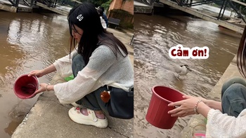 Cô gái đứng hình khi thả lươn phóng sinh gặp ngay con cò đói