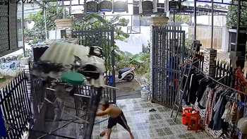 Đàn chim 'cảm ơn ông chủ vì được phóng sinh'