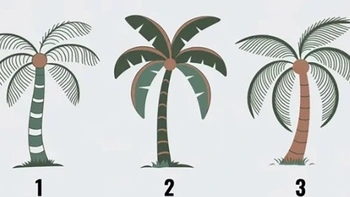 Quiz: Bạn thông minh não trái hay não phải?