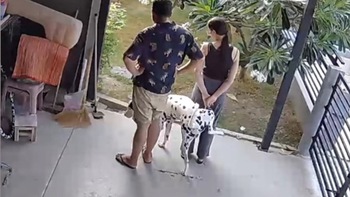 Cô chủ đứng ngắm vườn bị chó tè vào chân