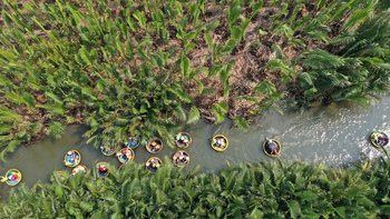 Rừng dừa Cẩm Thanh Hội An như lá phổi xanh ở cửa sông Thu Bồn