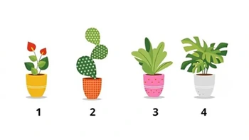 Quiz: Tuổi tinh thần của bạn già hay trẻ?