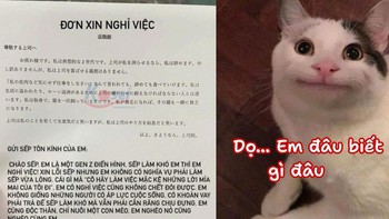 'Cười té ghế' với đơn xin nghỉ việc của nàng Gen Z