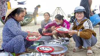 Sáng sớm đi mua cá tươi, mực nháy tại chợ ‘chồm hổm’ dọc biển Đà Nẵng