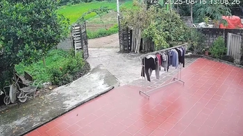 Sào phơi đồ bỏ đi vì 'giận dỗi' chủ nhà