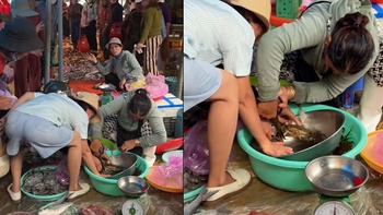 Khách hú hồn khi bị cua kẹp