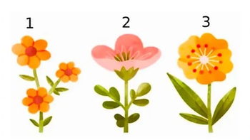 Quiz: Tài năng của bạn là gì?