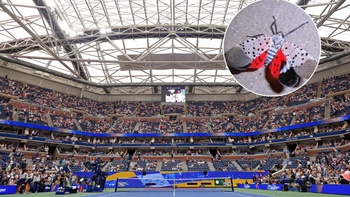 US Open có nguy cơ bị ‘quấy rối’ bởi ruồi đèn lồng