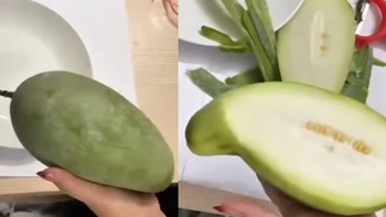 Nhìn rất giống quả xoài nhưng cắt ra lại là quả bí