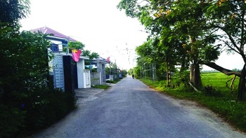 Các khoản thu từ đất: trồng khoai để ăn củ hay ăn lá